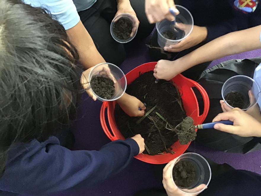 Soil 2 