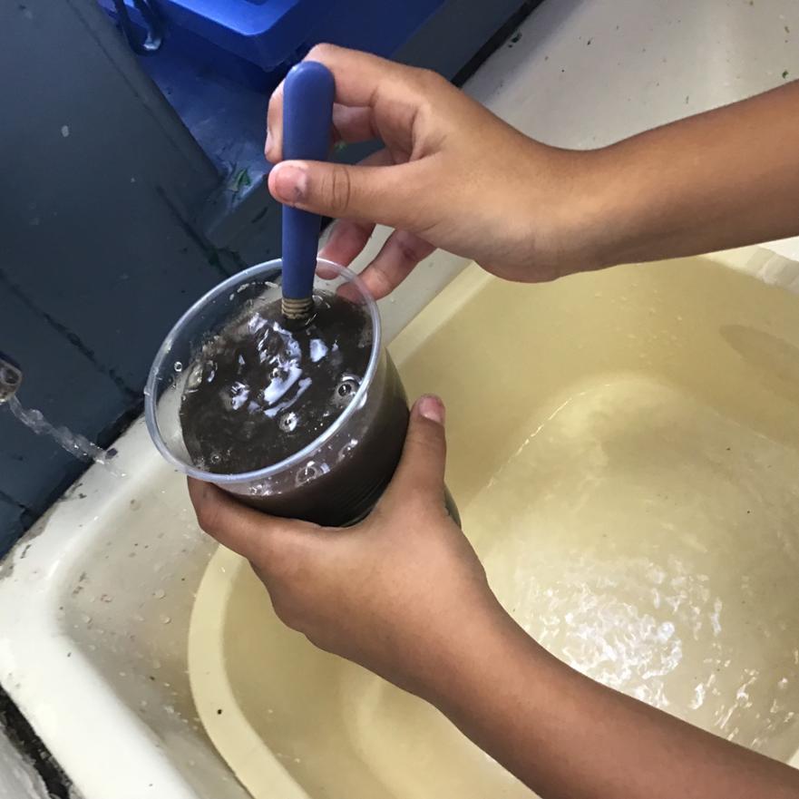 Soil 3 