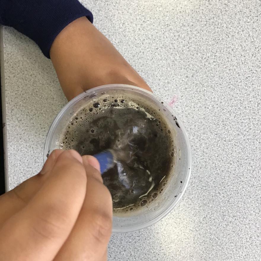 Soil 4 
