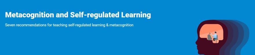 Metacognition