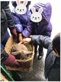 Farm 1 