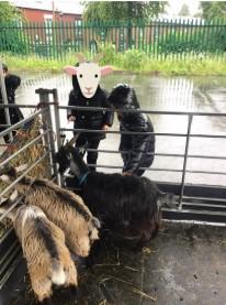 Farm 2 