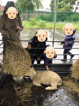 Farm 3 